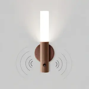 Motion Sensor Light