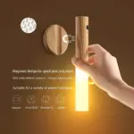 Motion Sensor Light