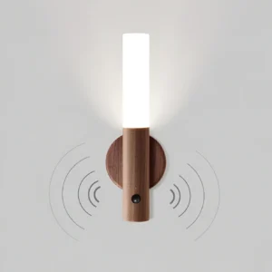 Motion Sensor Light